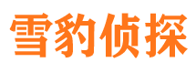 芦溪市私家侦探